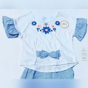 Blue and white Striped With A Floral Design and Ruffled Goucho Set Size 3T‎